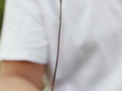 Man holding a little green plant Stock Footage