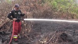 CLEAN : Indonesian authorities continue to battle forest fires on Sumatra island News Clip