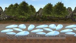 Thinning ice altering ecosystems: National Science Foundation Instructional Video