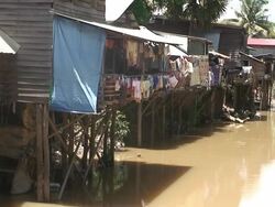 river scene Stock Footage