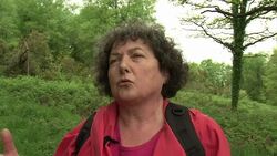 VOICED: Radiation fears surround France's old uranium mines News Clip