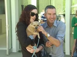 Rumer Willis, Dean & Dan Caten at the yoox.com and DSQUARED2 Canine Couture Launch To Benefit Much Love Animal Rescue at Beverly Hills CA. (Footage by WireImage Video/GettyImages) Stock Footage