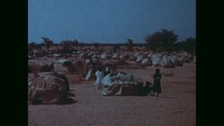 News Item (08d1584a-be13-d6a3-0b10-35bddb69581f) Instructional Video