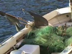 fishing boats Stock Footage