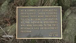 Commemorative cherry trees at Three Mile Island News Clip