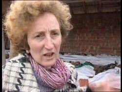 Serbia - Gelbard comments on Kosovo situation News Clip