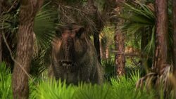 Anatotitans flee Tyrannosaurus Rex hunters. Stock Footage