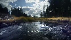 Dawn at Yellowstone NP, WY Stock Footage