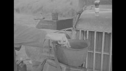 American soldier shaves during the Korean War News Clip