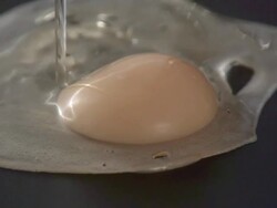 Close Up, Locked Down - An egg falls into a frying pan / USA Stock Footage