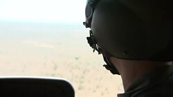 Prince Harry Visits Kruger National Park News Clip