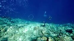 bubblering Stock Footage