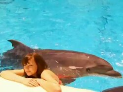 Girl and dolphin Stock Footage