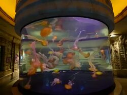 TIME LAPSE: Shark Reef Aquarium At Mandalay Bay Time Lapses Stock Footage