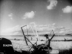 1952: RUSSIAN COLLECTIVE FARMS: VS Women working in field, bundling cut grain sheaves into shocks. NURSERY DAY CARE: VS Woman taking care of working farm women's babies, VS Puttting children in crib beds for nap.   Iron Curtain, communists, communism. Instructional Video