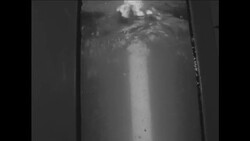 CAN822 SCENES FROM A WATER PURIFICATION FACILITY Instructional Video