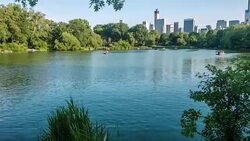 Central park Stock Footage