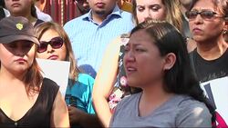 Phoenix DACA Participants Say 'Not Going Back' News Clip