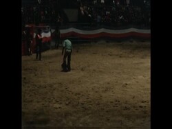 SYND 13/3/70 A WILD WEST RODEO IN INDOOR STADIUM, WITH BUCKING BRONCOS, ROPING STEERS AND RED INDIAN WAR DANCES News Clip