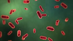 Microscopic Bacteria Medical Background Stock Footage