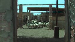 Tourist destination aims to become carbon neutral city News Clip