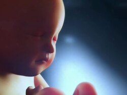 Animated realistic fetus Stock Footage