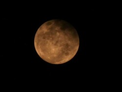 HD: full moon in a cloudy night Stock Footage