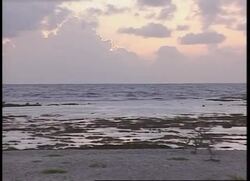 KIRIBATI: E8. MILLENNIUM CELEBRATIONS: DAWN (5) News Clip
