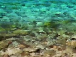 Stone in water. Stock Footage