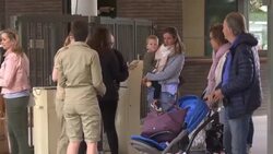 Zoo lion euthanised after escape from cage in Belgium Instructional Video