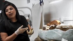 CLEAN : Preparing for the underworld: 2.500 year old find in El Salvador News Clip