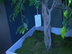 ATMOSPHERE at Swarovski Celebrates The Launch Of Its Collaboration With Yoko Ono At The Swarovski Crystallized Concept Store in New York, NY, on 09/05/12 Stock Footage