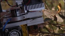 Carbon towers help scientists understand tree life News Clip