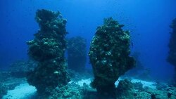 diving Stock Footage