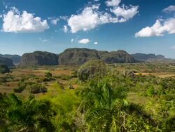 Valle de ViÃ±ales Tabacco Plantations , Cuba Stock Footage