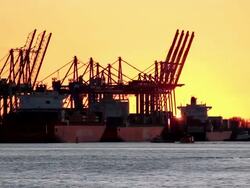 WS View of container terminal in river Elbe / Hamburg, Hamburg, Germany Stock Footage