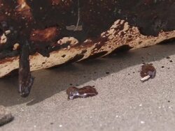 Tarballs on beach, Oil sheen in water, Oil stuck on objects on beach Stock Footage