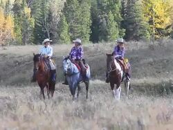 Cowboy and Cowgirls riding on horseback through the foothills Stock Footage