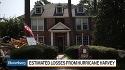 Assessing the Losses From Hurricane Harvey News Clip