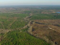 WS AERIAL View of wooded area landscape with small lake / North Carolina, United States Stock Footage