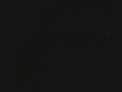 MS Aarti Puja prayer ceremony at Ganges / Varanasi, India Stock Footage