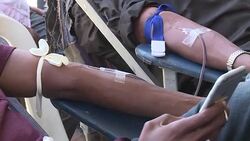 CLEAN : Somalis in Kenya give blood to help Mogadishu bomb survivors News Clip