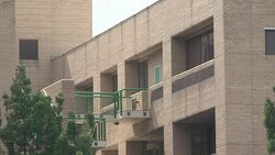 CLEAN : Mandela successfully News Clip