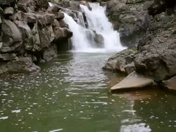 MS PAN Shot of Hoopii Falls / Kapaa, Kauai, Hawaii, United States Stock Footage