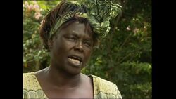 4:3 Kenyan Nobel laureate Wangari Maathai dies at 71 News Clip