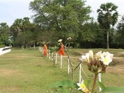 Killing Fields of Choeung Ek Stock Footage