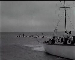 DUKE AT EASTBOURNE News Clip