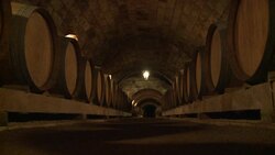 CLEAN : Hungarys famous vineyards are enjoying a r News Clip