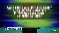 9 Weird Ways Animals See the World Instructional Video