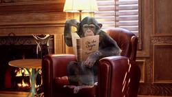 Is There Intelligent Life Beyond Earth? Instructional Video